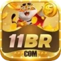 11br - Plus Earning App